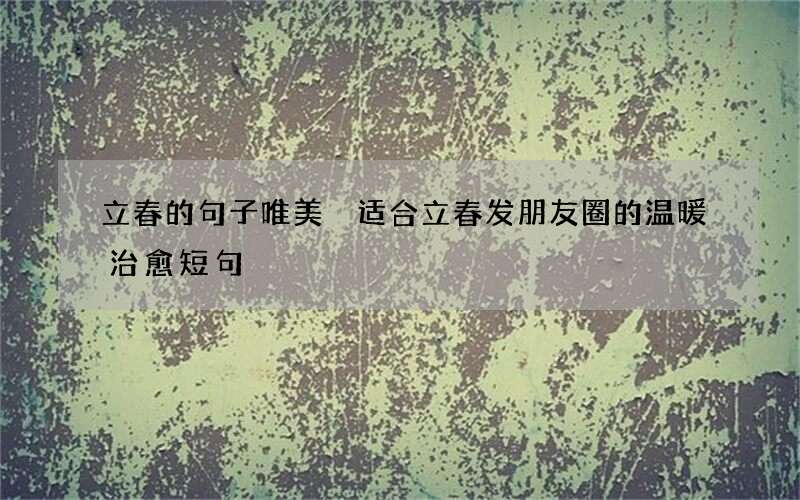 立春的句子唯美 适合立春发朋友圈的温暖治愈短句
